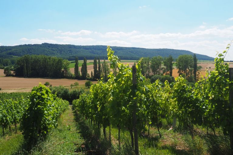 Wandern Sie am Schwanberg!