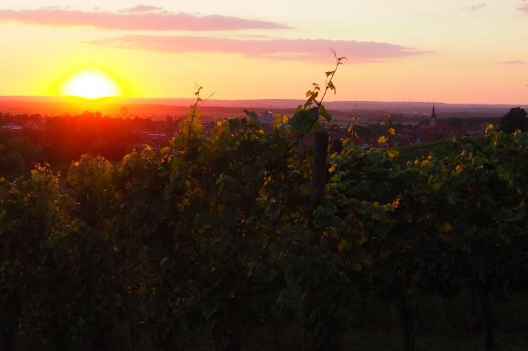 Bewundern Sie Wiesenbronn bei Sonnenuntergang!